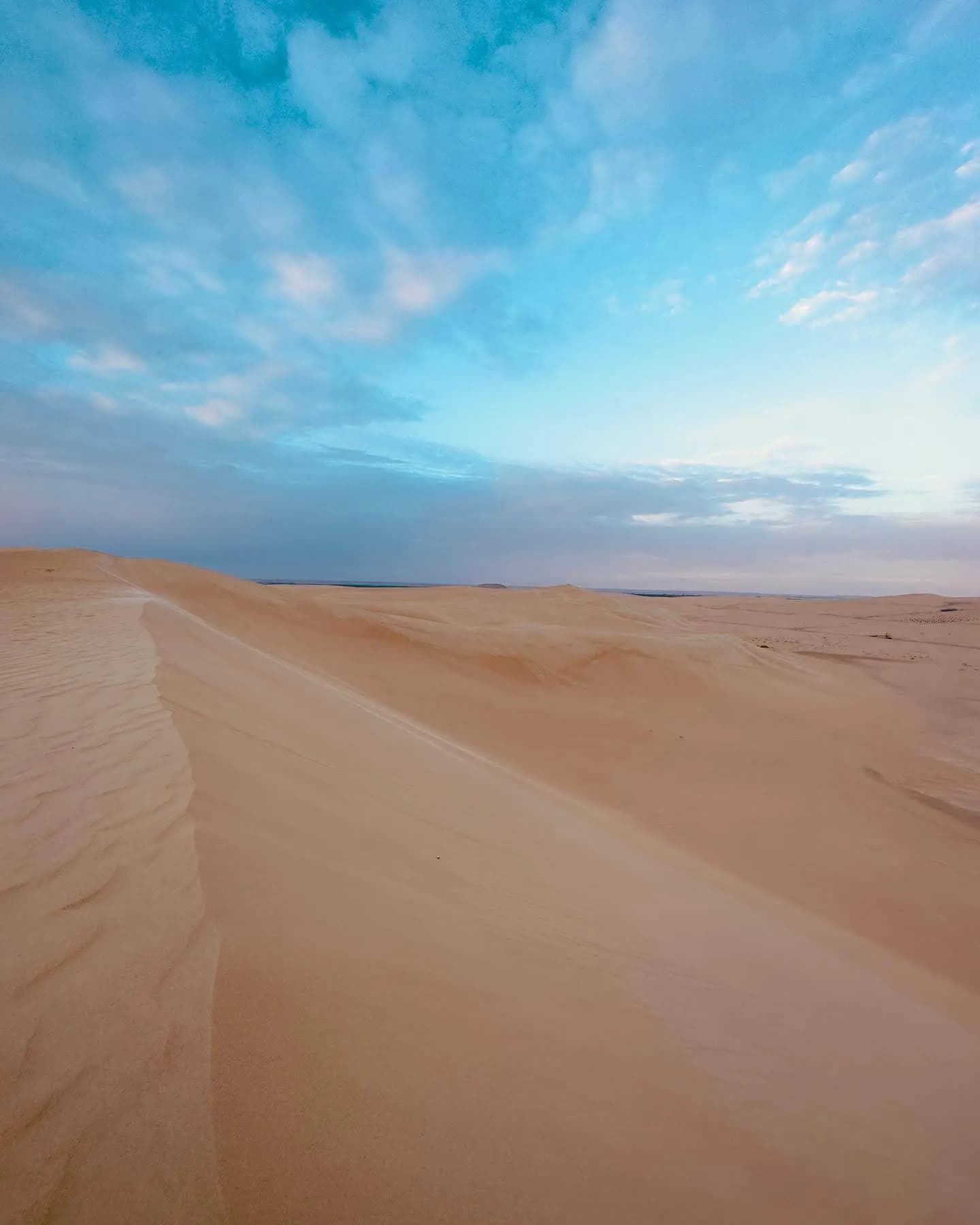 Desert Wildlife in Egypt: Animals You Might See in the Western Desert