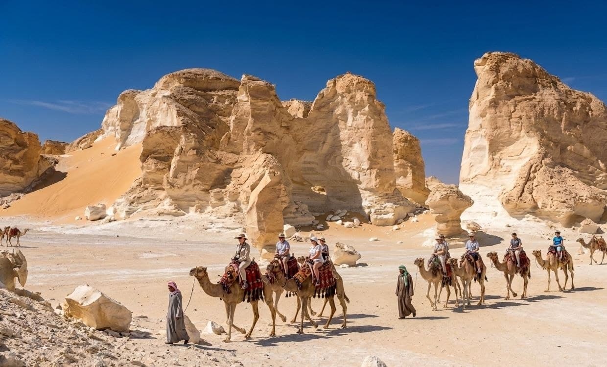 Camel Safari in Egypt: Everything You Need to Know Before Riding