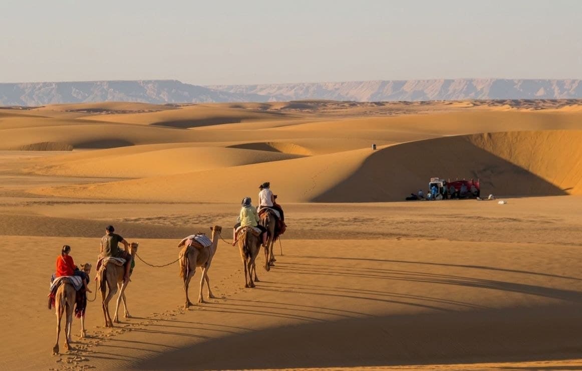 Eight Days on a Camel: What It Actually Takes to Live Like the Desert's Original Travelers