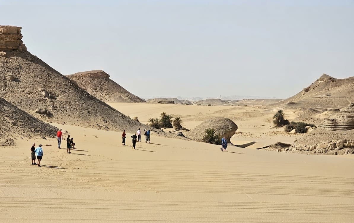 Desert Hiking and Trekking in Egypt: The Complete Hiker's Guide