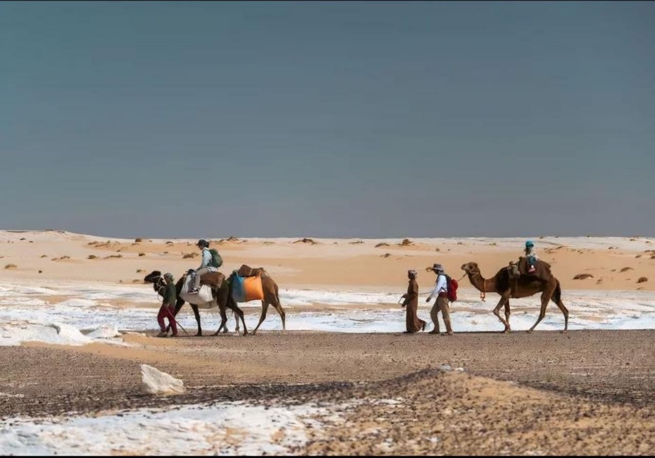 A Piedi e in Cammello: La Guida Completa al Trekking nel Deserto Bianco d'Egitto