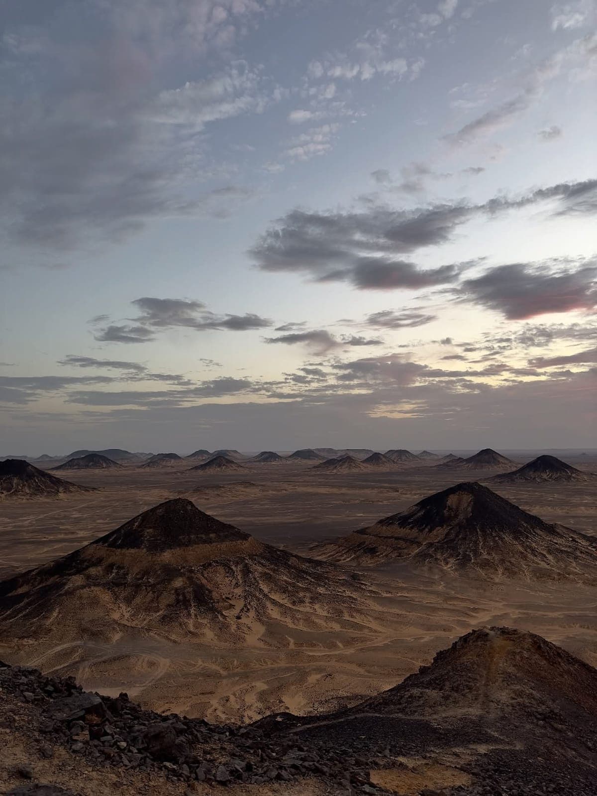 Black Desert
