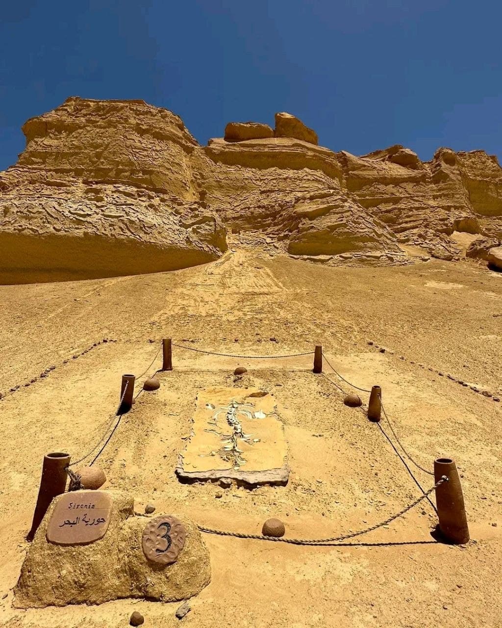 وادي الحيتان