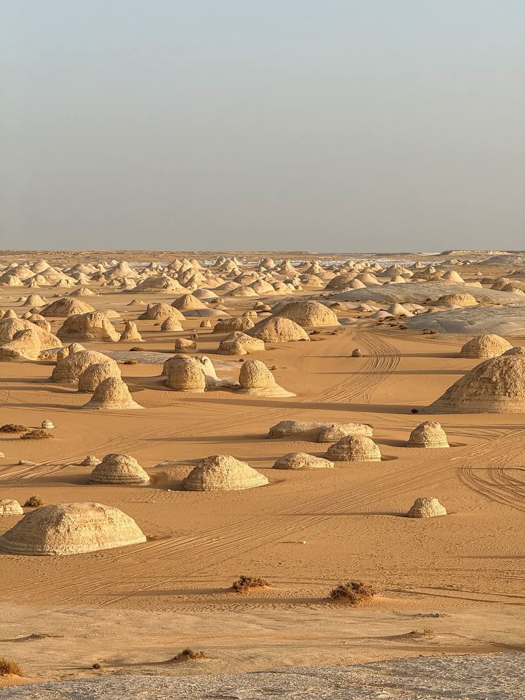 Old & New White Desert