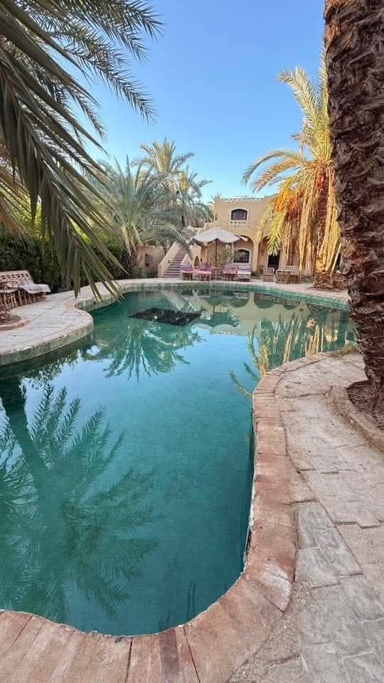 الراحة والإفطار
