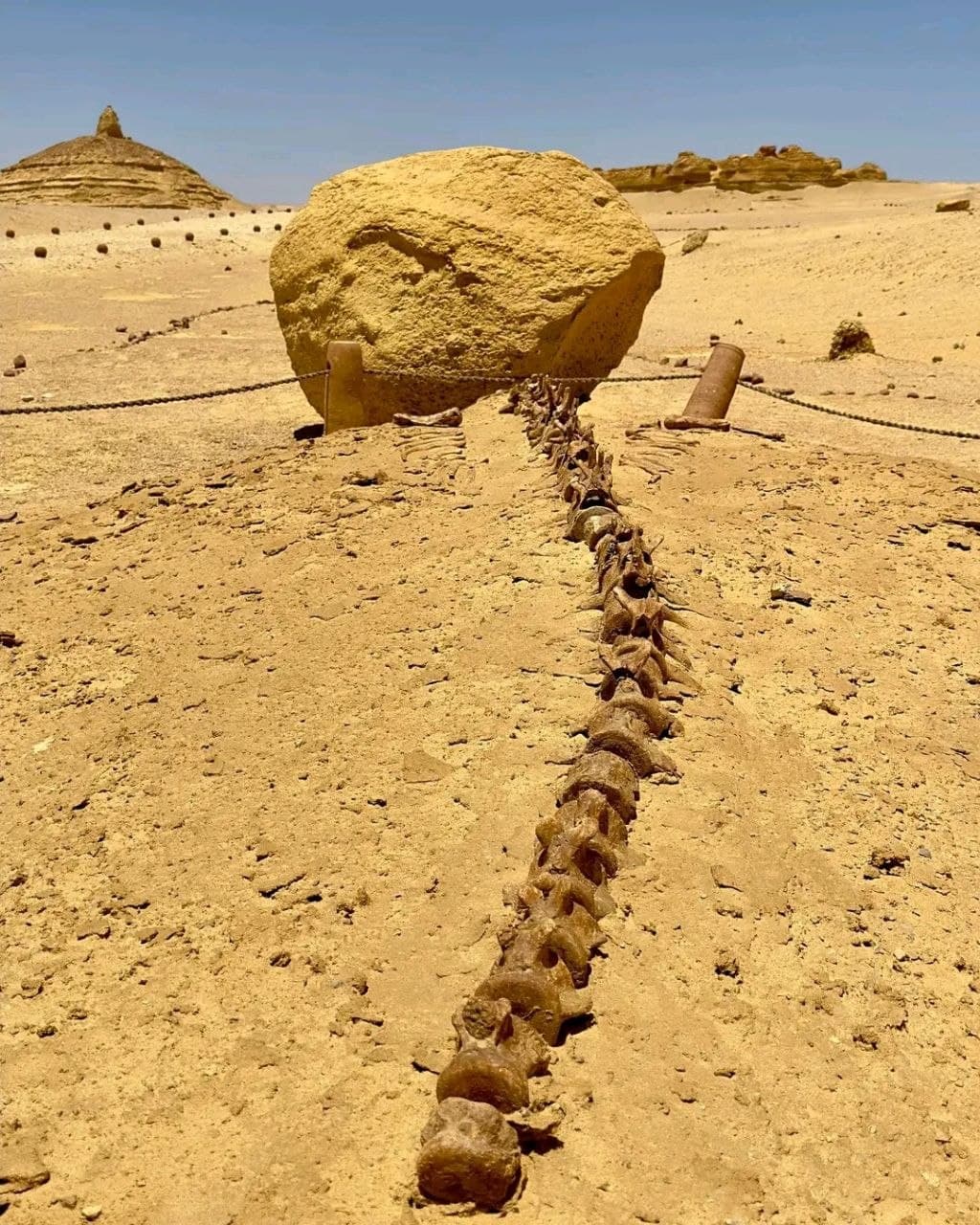 برنامج الصحراء السوداء والبيضاء وواحة الفيوم لأربعة أيام