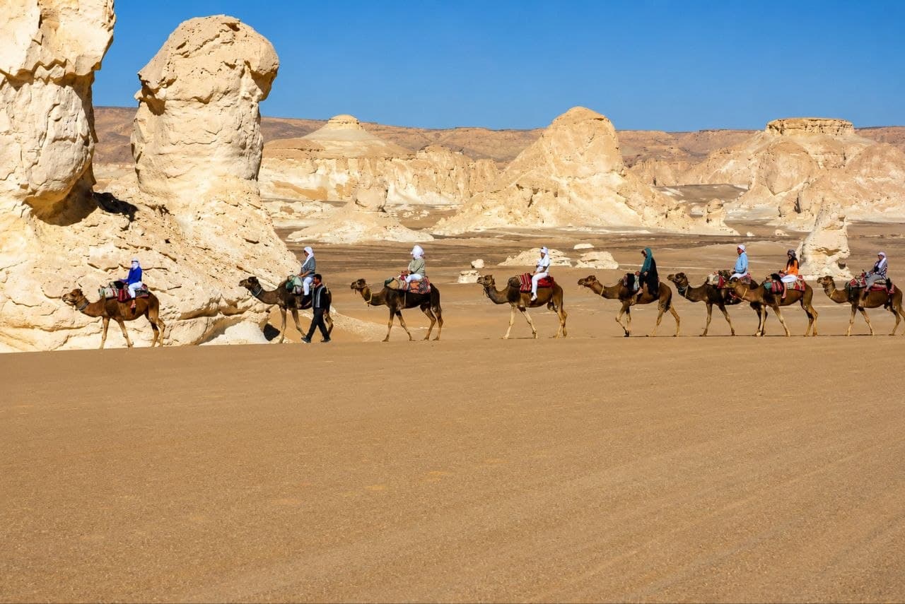 برنامج ركوب الجمال لثمانية أيام